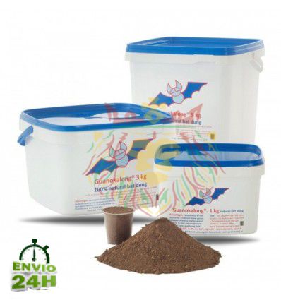 guano-murcielago-polvo